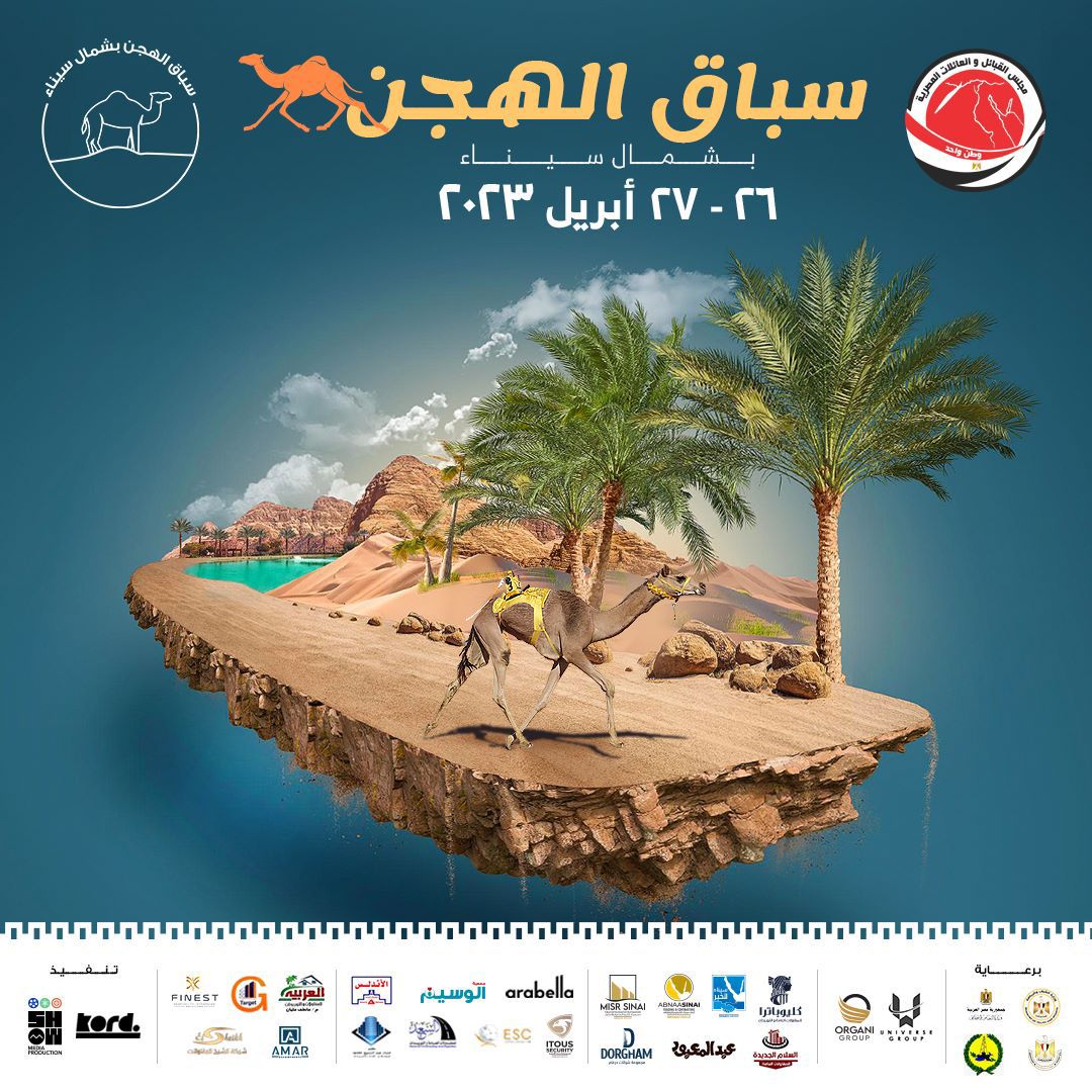 camel racing